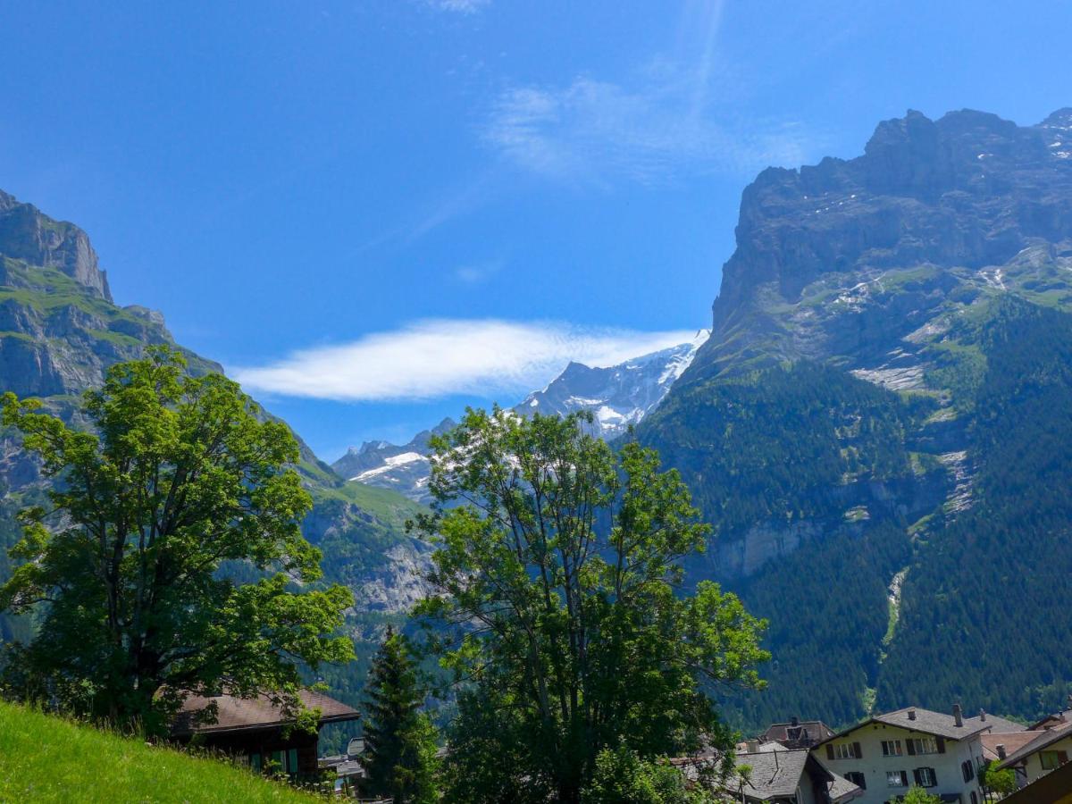 Apartment Chalet Albi By Interhome Grindelwald Dış mekan fotoğraf