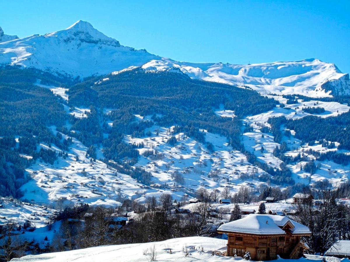 Apartment Chalet Albi By Interhome Grindelwald Dış mekan fotoğraf