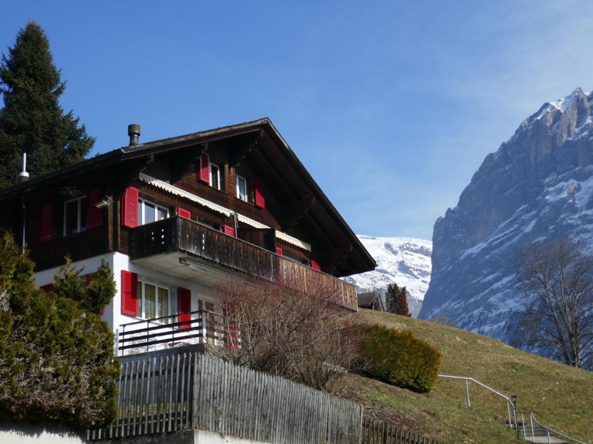 Apartment Chalet Albi By Interhome Grindelwald Dış mekan fotoğraf